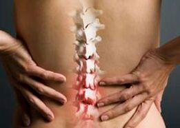 What is the difference between spinal osteoarthritis and arthritis